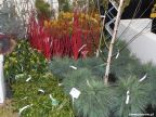 IS Łazucki2013 008
