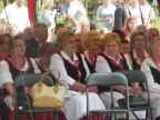 przegląd orkiestr 2014 016