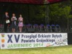 przegląd orkiestr 2014 025