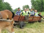 IMG 9819 640x480