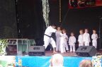 piknik (4)