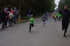 2016-10-15-biegi (2)