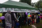 20170820-piknik (4) 800x531