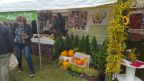 dożynki2017 (5)