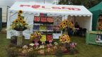dożynki2017 (8)
