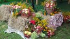 2017-09-07-10_lat_sds (15)